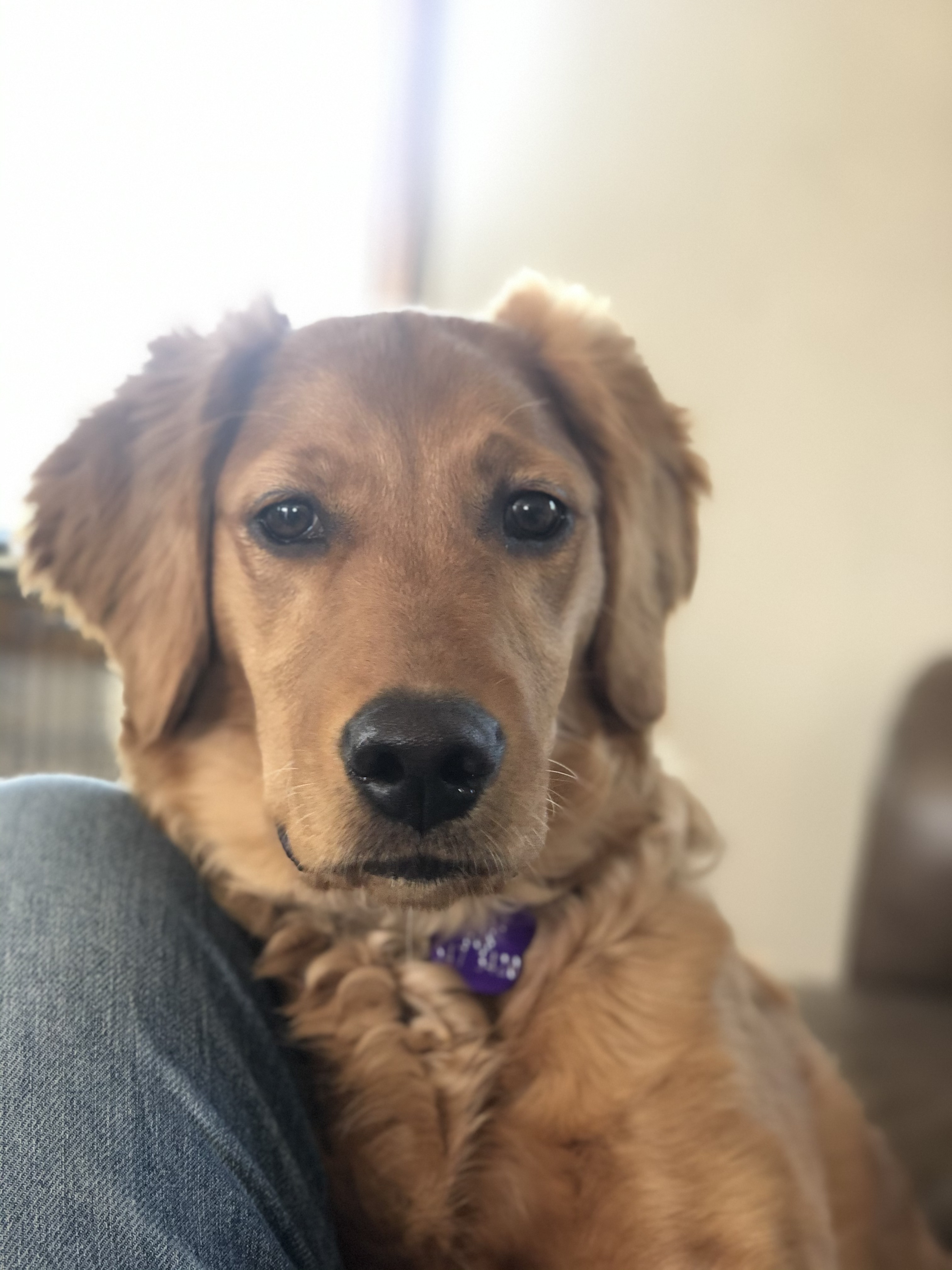 Me laying with Wren.